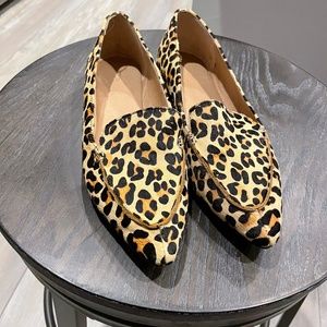 Cheetah flats
